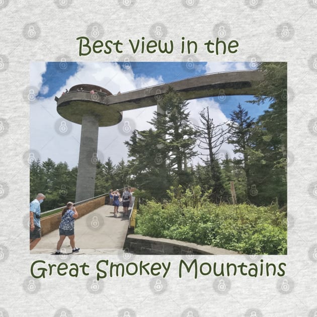 Best View in the Great Smokey Mountains (Clingmans Dome) by albinochicken